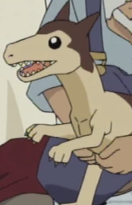 Puchizaura