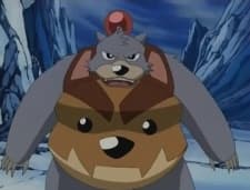 Bear Bomber