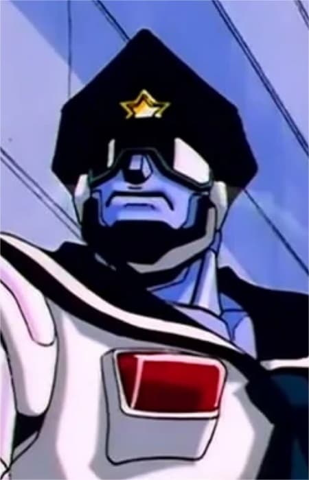 Sailor Cop