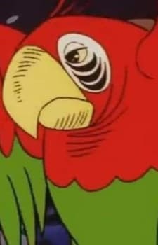 Flint the Parrot