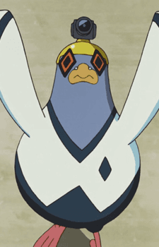 Pigeon