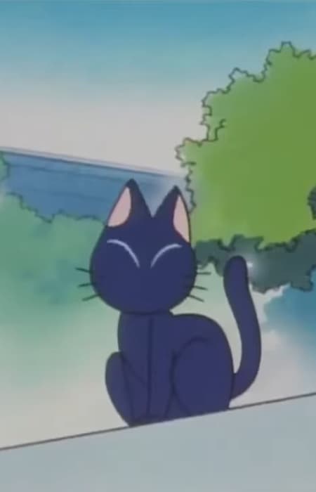 Honto wa Tenshi