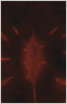 Rekidai Maou