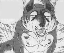 Fuuga